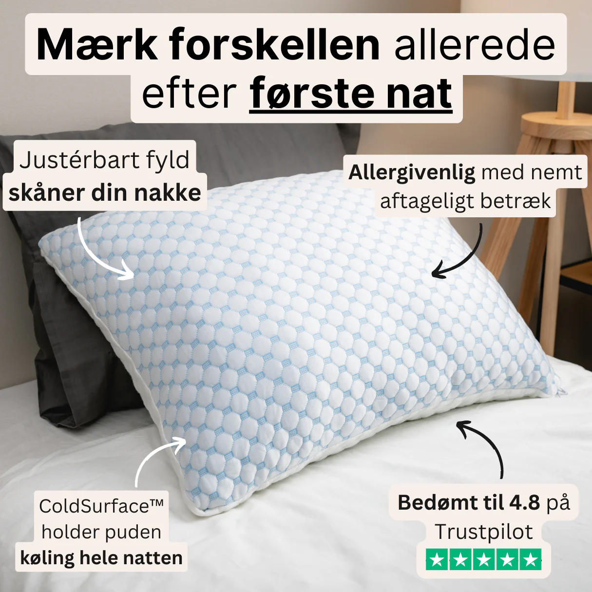 FOTOTEST1 - Image 2