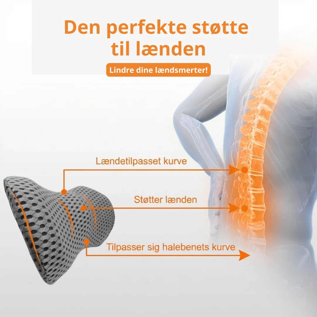 Lændepude – Støtte til lænden - Image 5